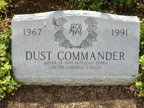 Dust commander