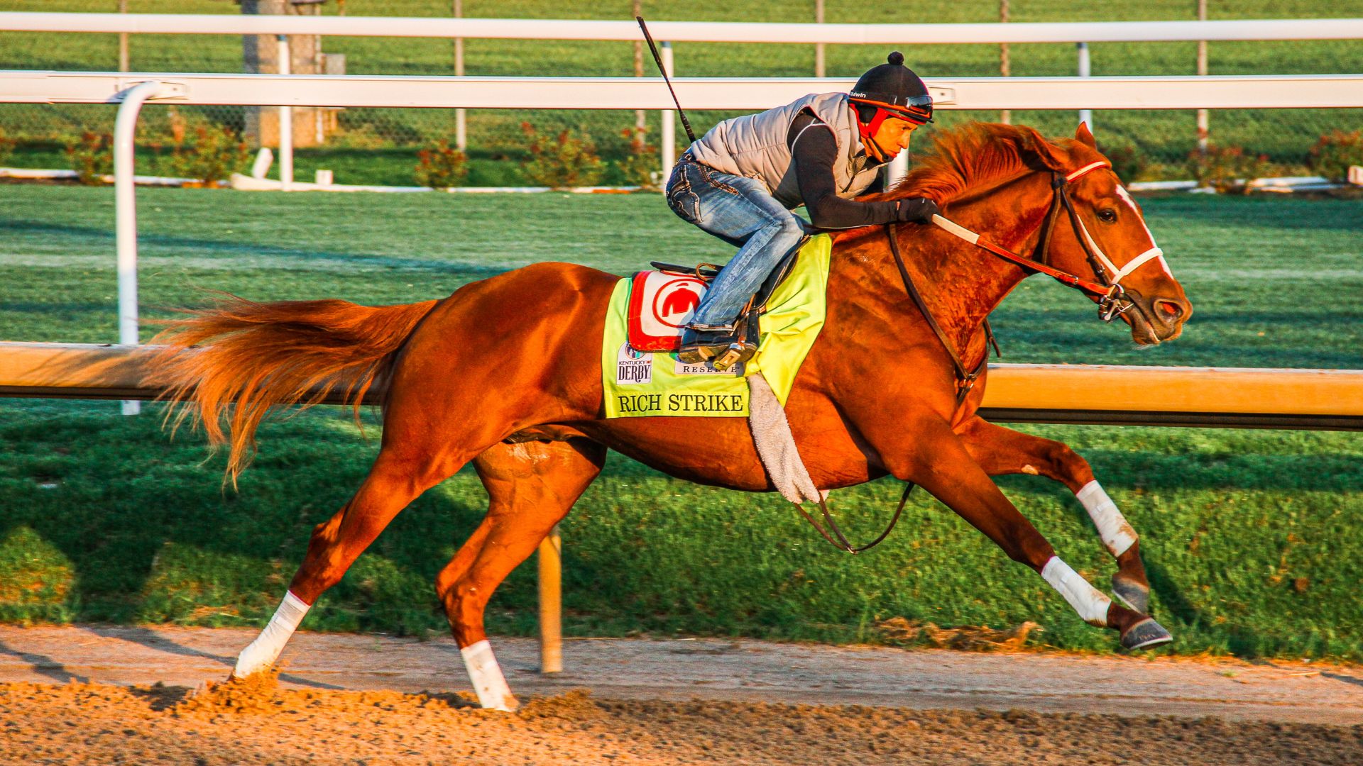 Derby Contenders Workout Kentucky Derby Museum