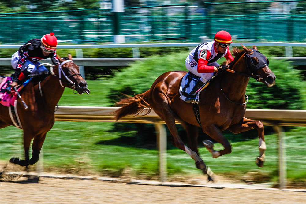 Live Racing at Churchill Downs