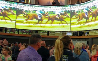 James Graham Brown Foundation awards Kentucky Derby Museum $1 million grant for historic exhibit upgrade